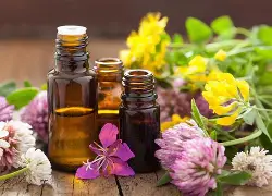 oil relax Therapy